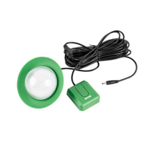 1w DC Bulb
